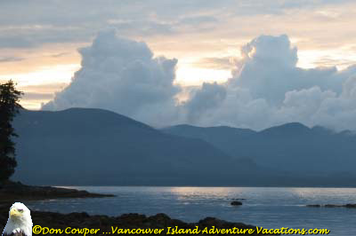 Broken Islands Sunset