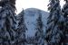 4. The highest peak of Mt. Washington is framed between the snow clad trees on Brumbys run. In early winter the sun seldom shines on this portion of the mountain. All day looks like sunrise.