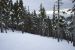 3. The top of the McKay Glades are quite gentle with the trees well spaced. This provides some of the best glade skiing at the resort.