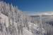 2. This shot is from the Sunrise Quad showing the glades beside Shum's Delight on a powder day.