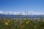 Pictures Featured in 2006 Calendar